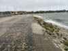 17000 Le vieux port