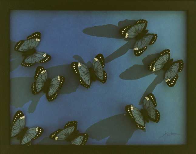 peinture huile ceramique papillon henri bertrou