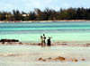 Peche2